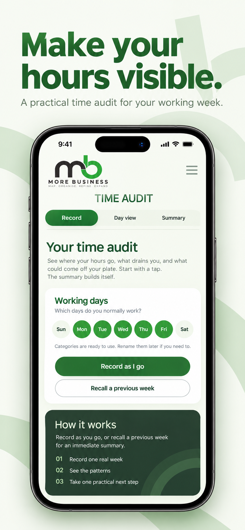 MORE Time Audit working days screen
