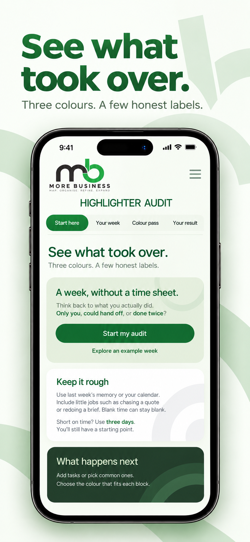 MORE Highlighter Audit start screen